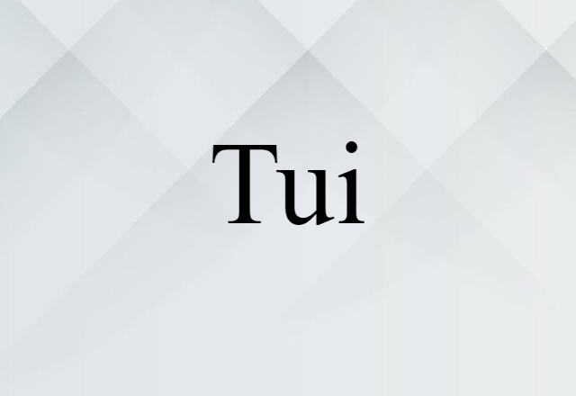 Tui (noun) Definition, Meaning & Examples