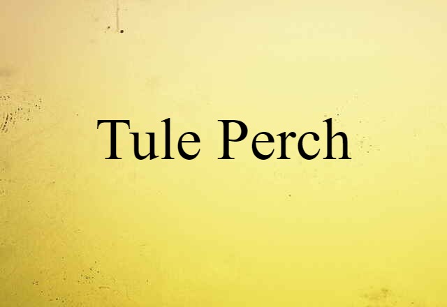 tule perch