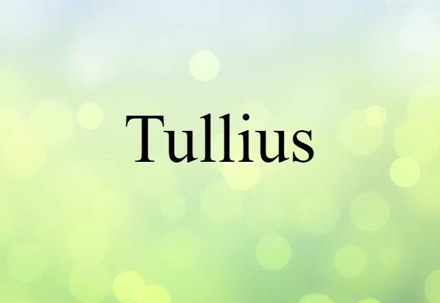 Tullius (noun) Definition, Meaning & Examples