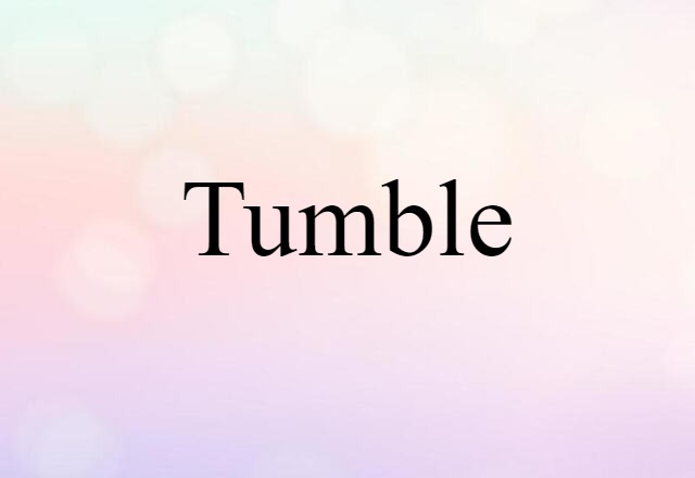 Tumble (noun) Definition, Meaning & Examples