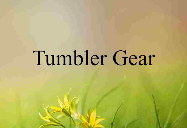 Tumbler Gear (noun) Definition, Meaning & Examples