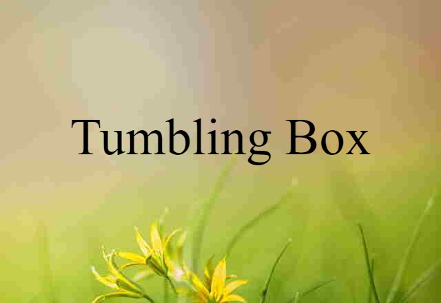 Tumbling Box (noun) Definition, Meaning & Examples