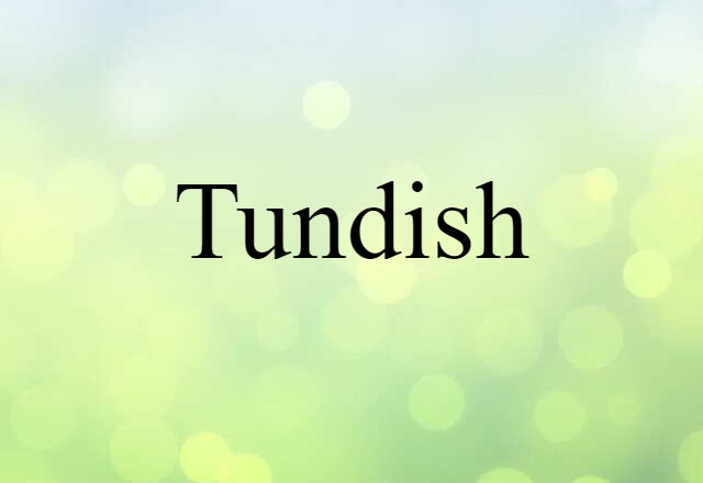 Tundish (noun) Definition, Meaning & Examples