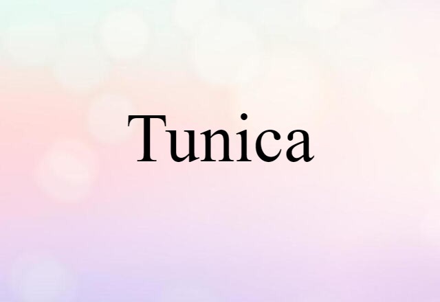 tunica