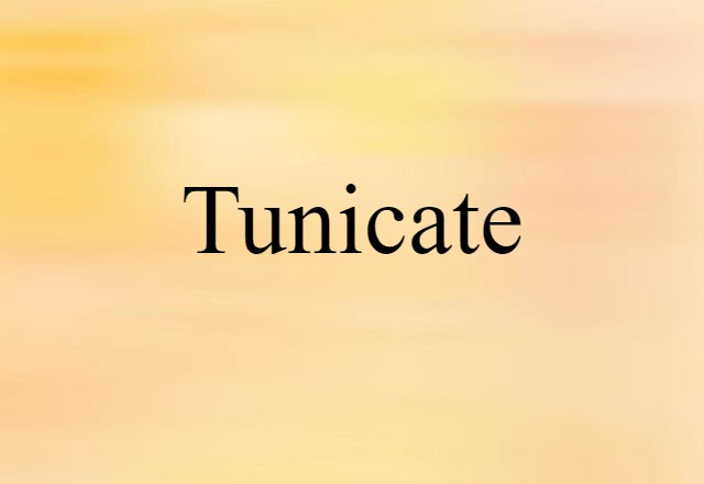 Tunicate (noun) Definition, Meaning & Examples