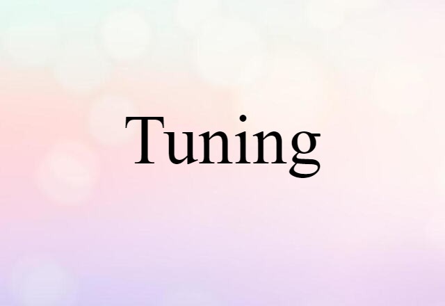 Tuning (noun) Definition, Meaning & Examples