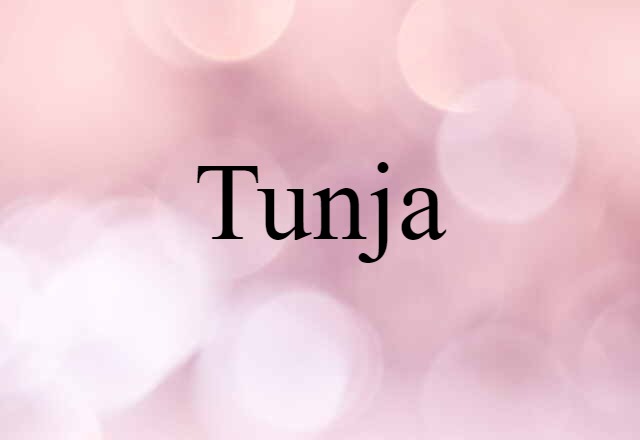 Tunja (noun) Definition, Meaning & Examples