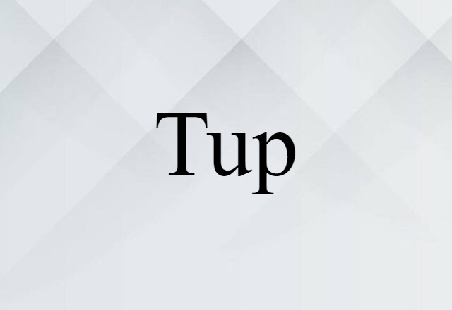 Tup (noun) Definition, Meaning & Examples