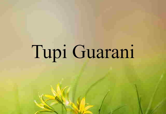 Tupi Guarani