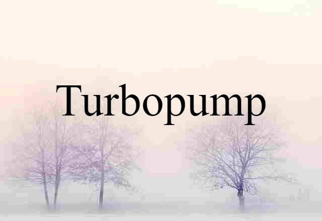 Turbopump (noun) Definition, Meaning & Examples