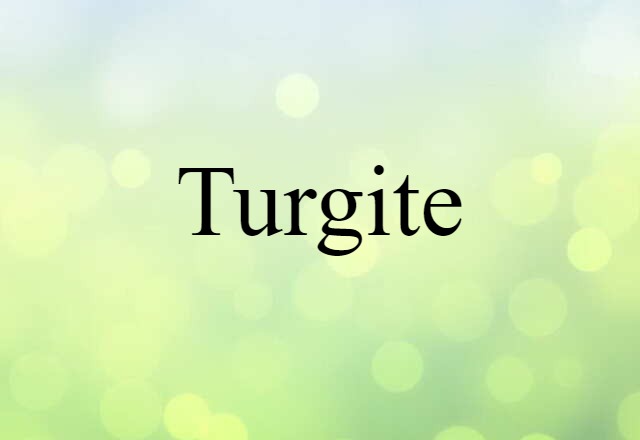 Turgite (noun) Definition, Meaning & Examples