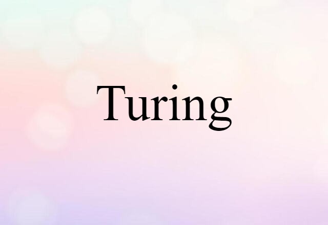 Turing (noun) Definition, Meaning & Examples