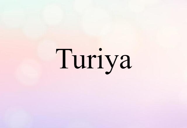 Turiya (noun) Definition, Meaning & Examples