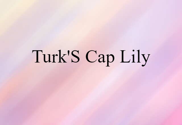 Turk's-cap Lily (noun) Definition, Meaning & Examples