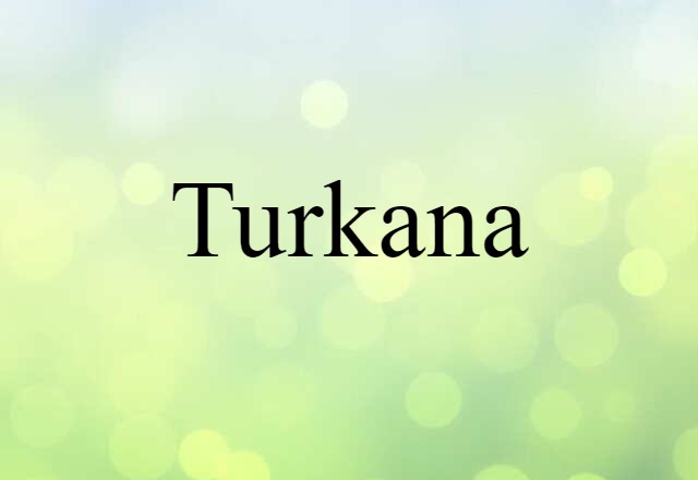 Turkana (noun) Definition, Meaning & Examples