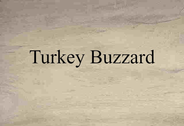 turkey buzzard