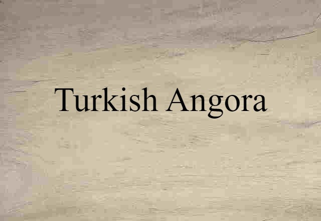 Turkish Angora