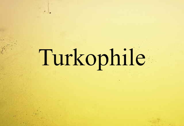 Turkophile (noun) Definition, Meaning & Examples