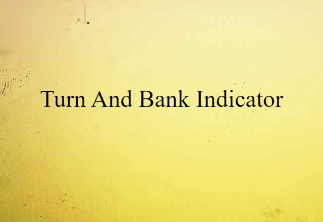 Turn And Bank Indicator (noun) Definition, Meaning & Examples