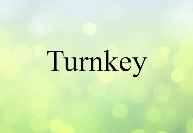 Turnkey (noun) Definition, Meaning & Examples