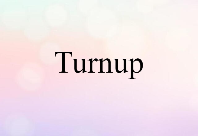 Turnup (noun) Definition, Meaning & Examples