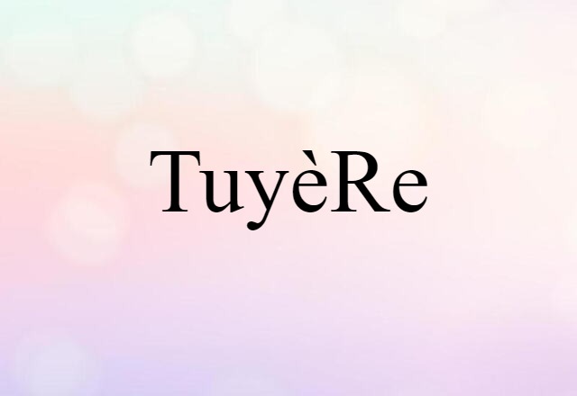 Tuyère (noun) Definition, Meaning & Examples