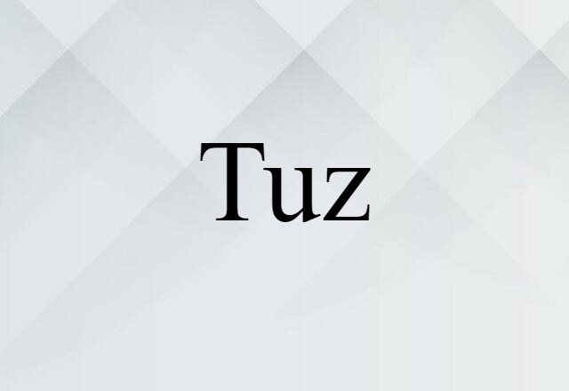 Tuz (noun) Definition, Meaning & Examples