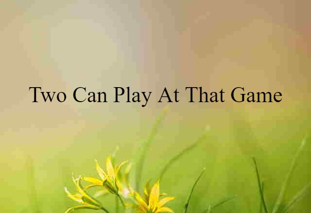 Two Can Play At That Game (noun) Definition, Meaning & Examples