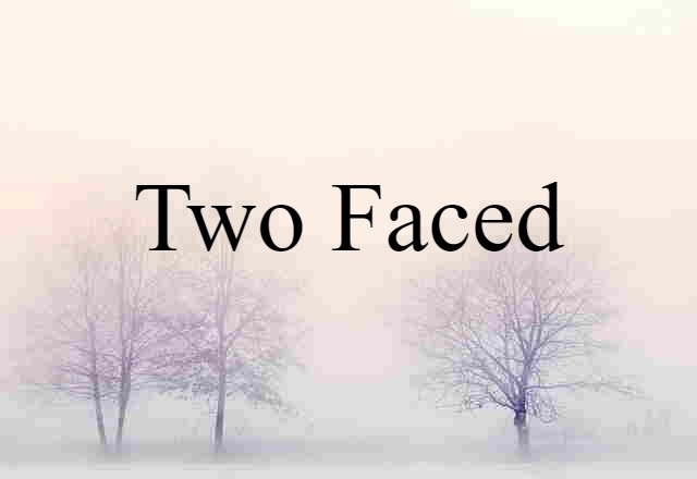 Two Faced (noun) Definition, Meaning & Examples