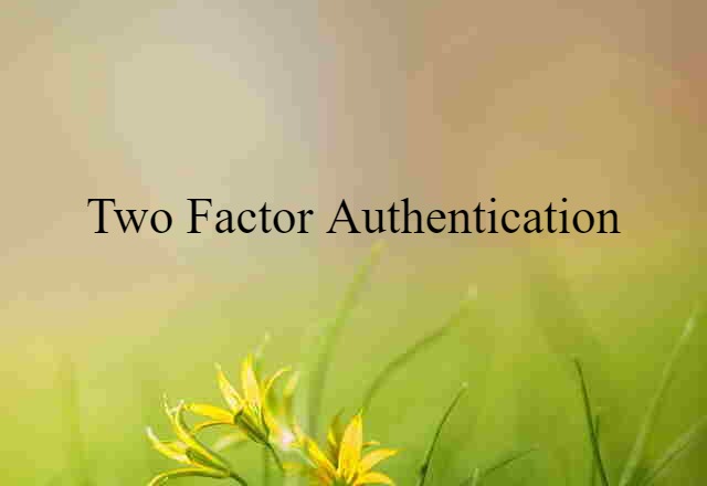 two factor authentication