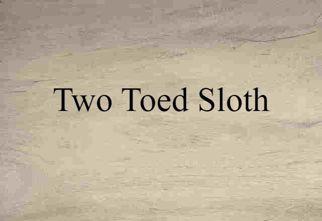 two-toed sloth