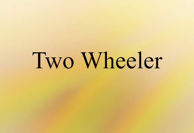 Two-wheeler (noun) Definition, Meaning & Examples