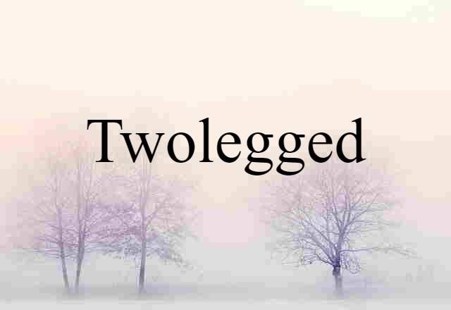 Twolegged (noun) Definition, Meaning & Examples