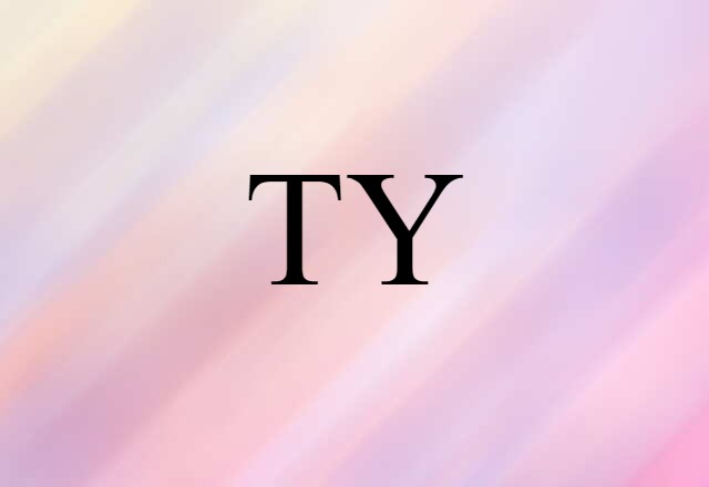 TY (noun) Definition, Meaning & Examples