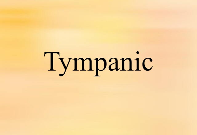 Tympanic (noun) Definition, Meaning & Examples