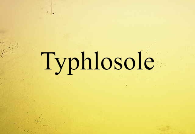 Typhlosole (noun) Definition, Meaning & Examples