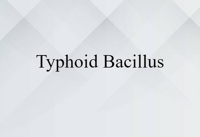 Typhoid Bacillus (noun) Definition, Meaning & Examples