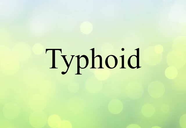 Typhoid (noun) Definition, Meaning & Examples