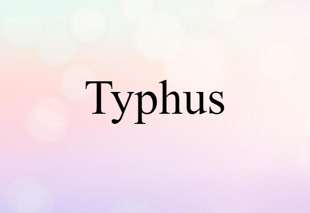 Typhus (noun) Definition, Meaning & Examples