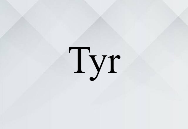 Tyr (noun) Definition, Meaning & Examples