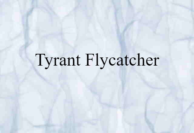 Tyrant Flycatcher (noun) Definition, Meaning & Examples