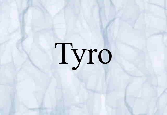 Tyro (noun) Definition, Meaning & Examples