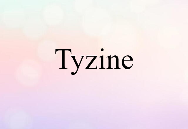 Tyzine (noun) Definition, Meaning & Examples