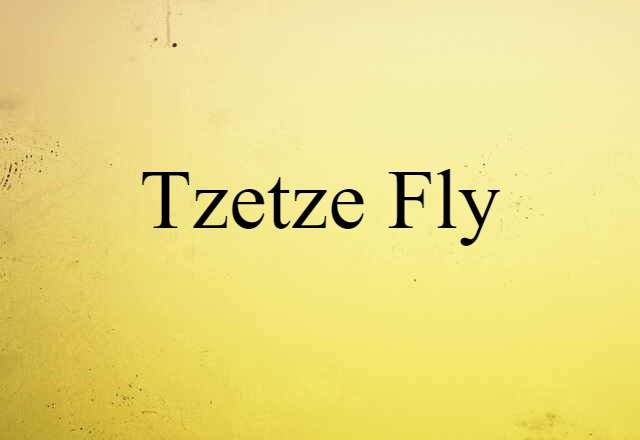 Tzetze Fly (noun) Definition, Meaning & Examples