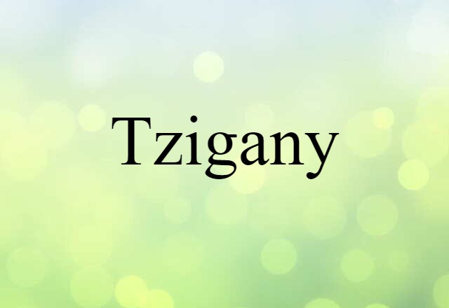 Tzigany (noun) Definition, Meaning & Examples