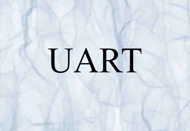 UART (noun) Definition, Meaning & Examples