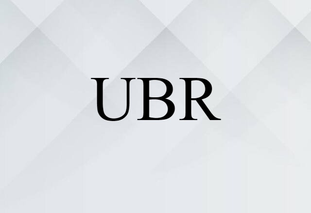 UBR (noun) Definition, Meaning & Examples