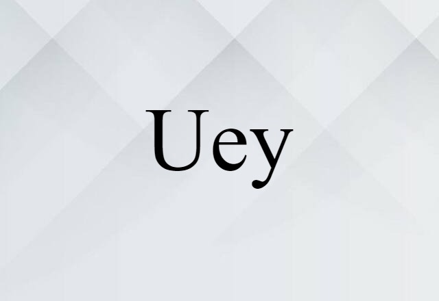 Uey (noun) Definition, Meaning & Examples