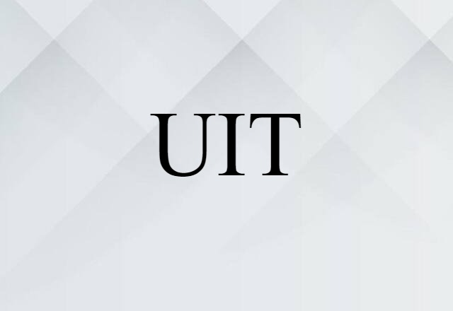 UIT (noun) Definition, Meaning & Examples