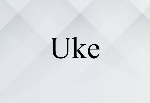 Uke (noun) Definition, Meaning & Examples